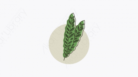 图片素材-010_植物_plant