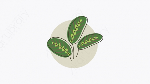 图片素材-011_植物_plant