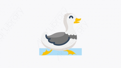 图片素材-012_鸭子_duck