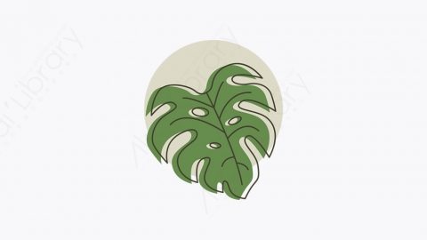 图片素材-013_一片叶子_monstera_leaf