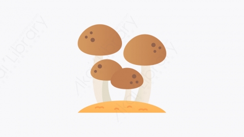 图片素材-013_蘑菇_mushroom