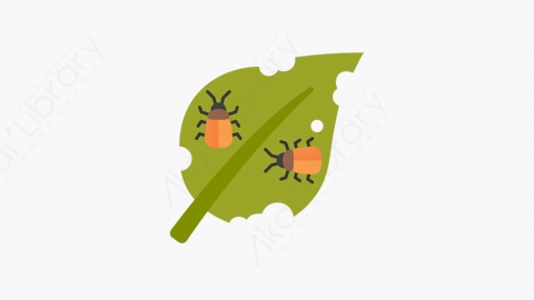 图片素材-014_害虫_pest