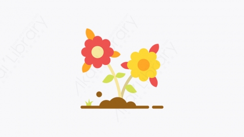 图片素材-015_花_flower