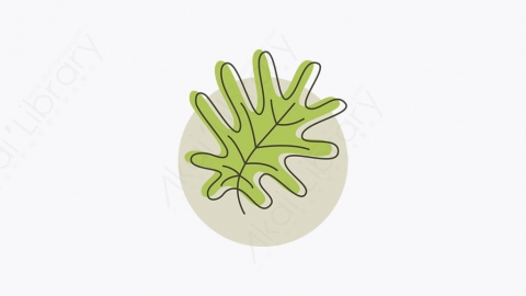 图片素材-016_叶子_leaf