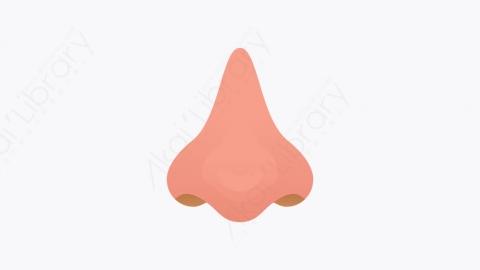图片素材-017_鼻子_nose
