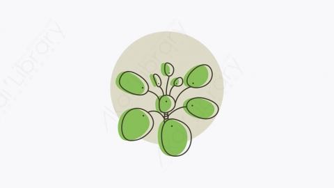图片素材-017_植物_plant