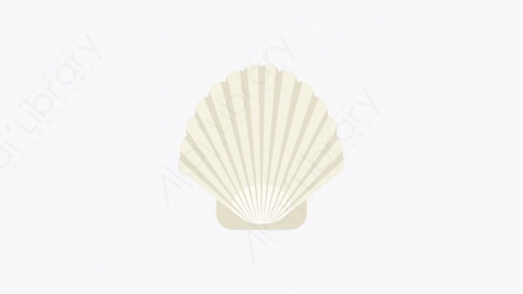 图片素材-017_贝壳_seashell