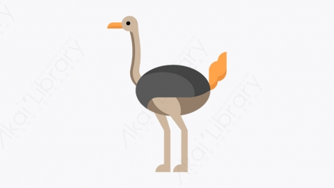 图片素材-018_鸵鸟_ostrich