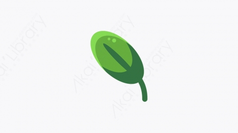 图片素材-019_叶子树叶_leaf