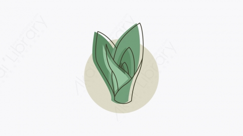 图片素材-019_植物_plant