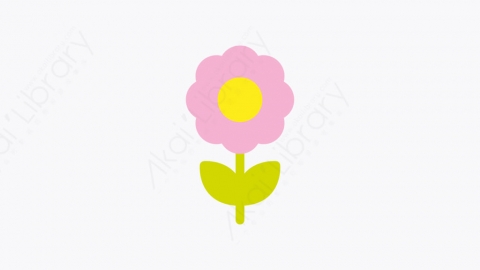 图片素材-020_花_flower