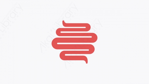 图片素材-020_肠_intestine