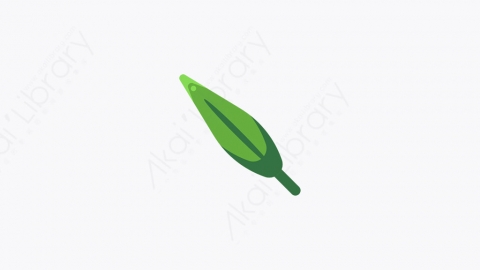 图片素材-020_叶子树叶_leaf