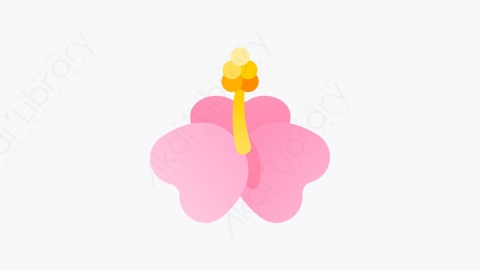 图片素材-021-花flower