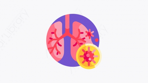 图片素材-021_肺_lungs