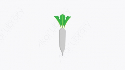 图片素材-021_萝卜_radish