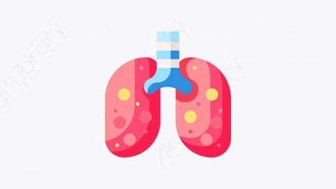 图片素材-022-肺lungs