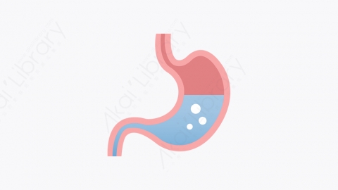 图片素材-024_胃_stomach