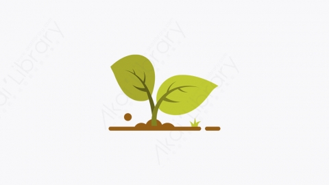 图片素材-026_叶子_leaf