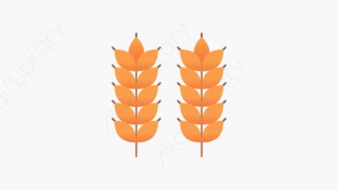 图片素材-026_小麦_wheat
