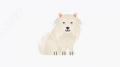 图片素材-027_萨莫耶德_samoyed