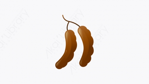 图片素材-028_罗望子_tamarind