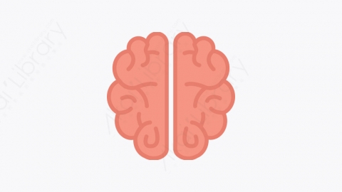 图片素材-034_大脑_brain