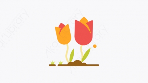 图片素材-036_郁金香_tulip