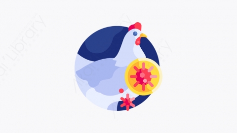 图片素材-038_母鸡_hen