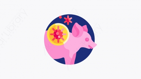 图片素材-039_猪_pig