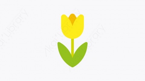 图片素材-044_郁金香_tulip