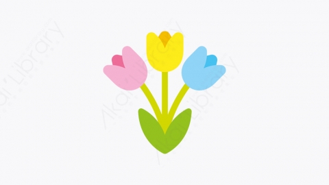图片素材-045_郁金香_tulips