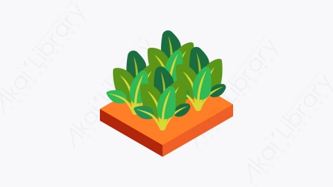 图片素材-004_菠菜_spinach