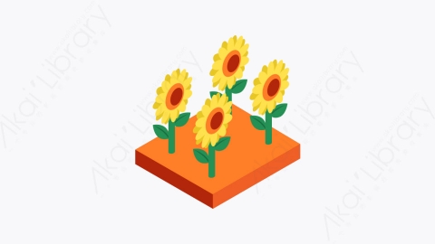 图片素材-005_向日葵_sunflower