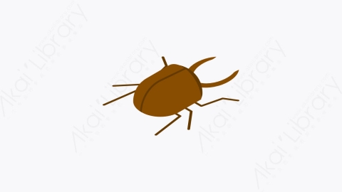 图片素材-006_甲虫_beetle