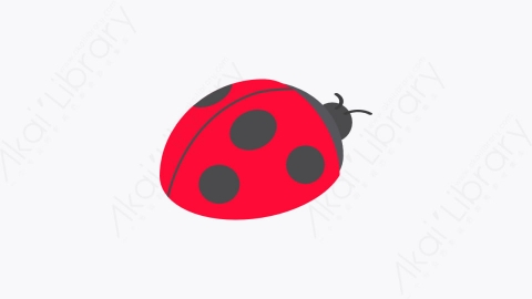 图片素材-008_瓢虫_ladybug