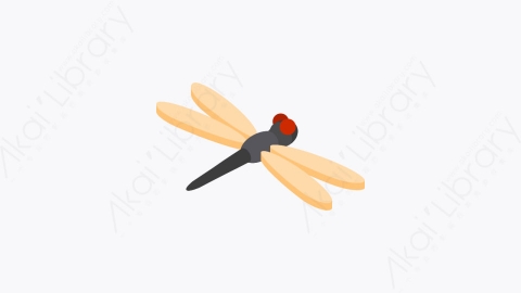 图片素材-009_蜻蜓_dragonfly
