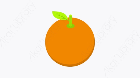 图片素材-013_橙子_orange