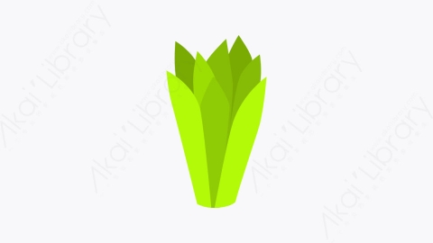 图片素材-017_芦荟_aloe_vera
