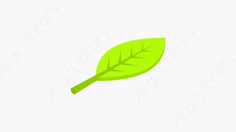 图片素材-034_叶子_leaf_