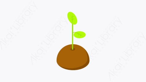 图片素材-036_发芽_sprout_