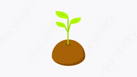 图片素材-037_发芽_sprout_