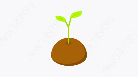 图片素材-038_发芽_sprout_
