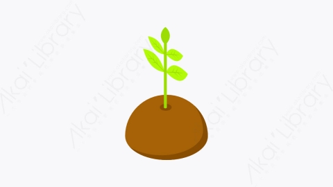 图片素材-039_发芽_sprout_