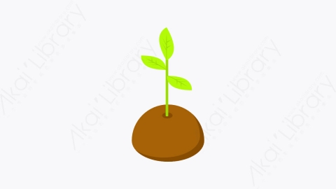图片素材-040_发芽_sprout
