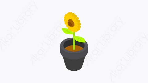 图片素材-041_花朵盆栽_flower_