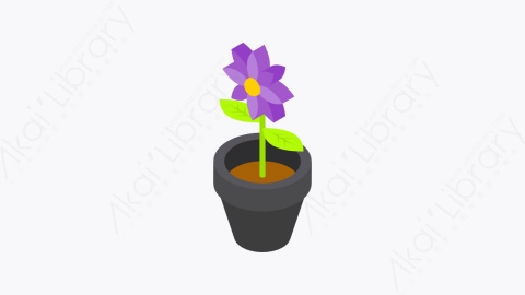 图片素材-042_花朵盆栽_flower_