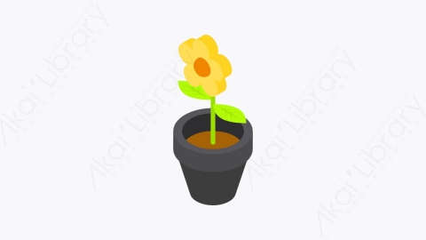 图片素材-044_花朵盆栽_flower_