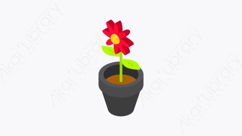 图片素材-045_花朵盆栽_flower