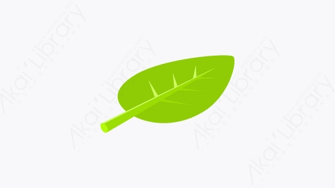 图片素材-057_叶子_leaf